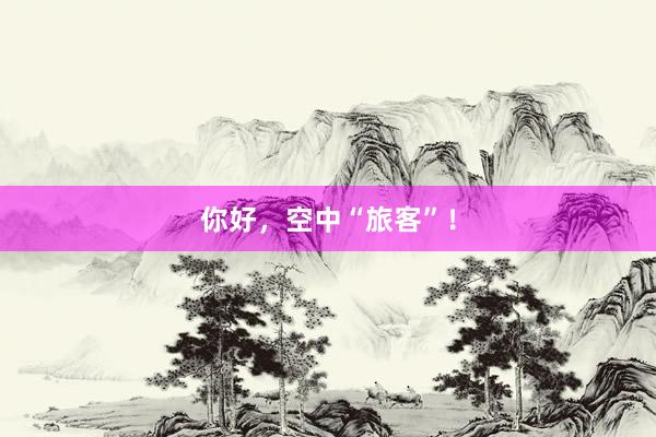 你好，空中“旅客”！