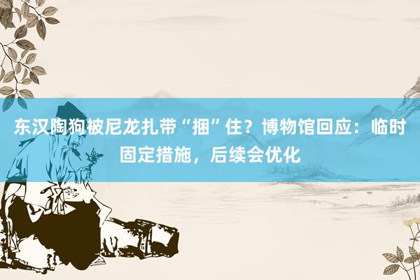 东汉陶狗被尼龙扎带“捆”住？博物馆回应：临时固定措施，后续会优化
